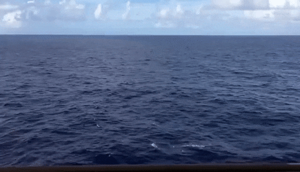 Laurent JAUDON | Transformation | Organisation apprenante