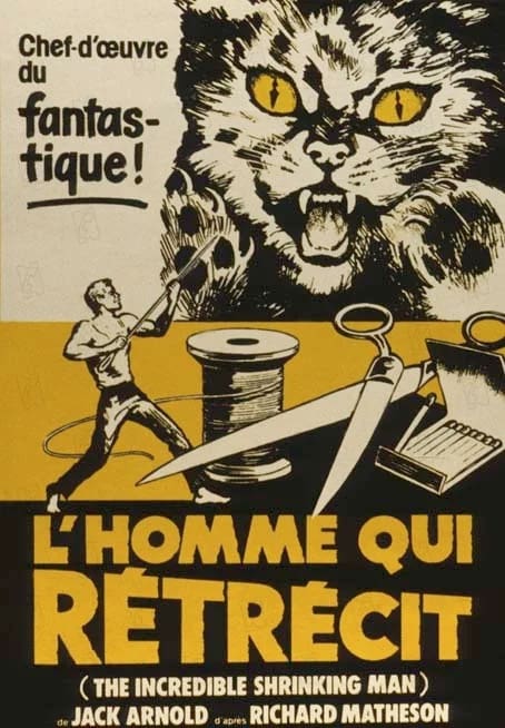 LHomme-qui-rétrécit Cabinet de psychologue à Paris 13 et paris 11– espace de consultation calme et confidentiel