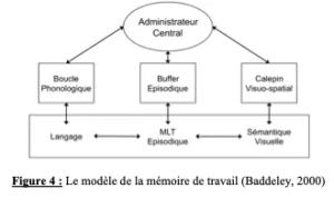 mémoire de travail de Baddeley