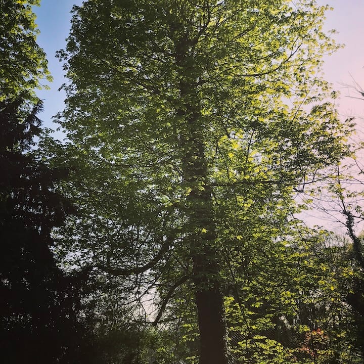 IMG_0260 2 IMG_0260 2