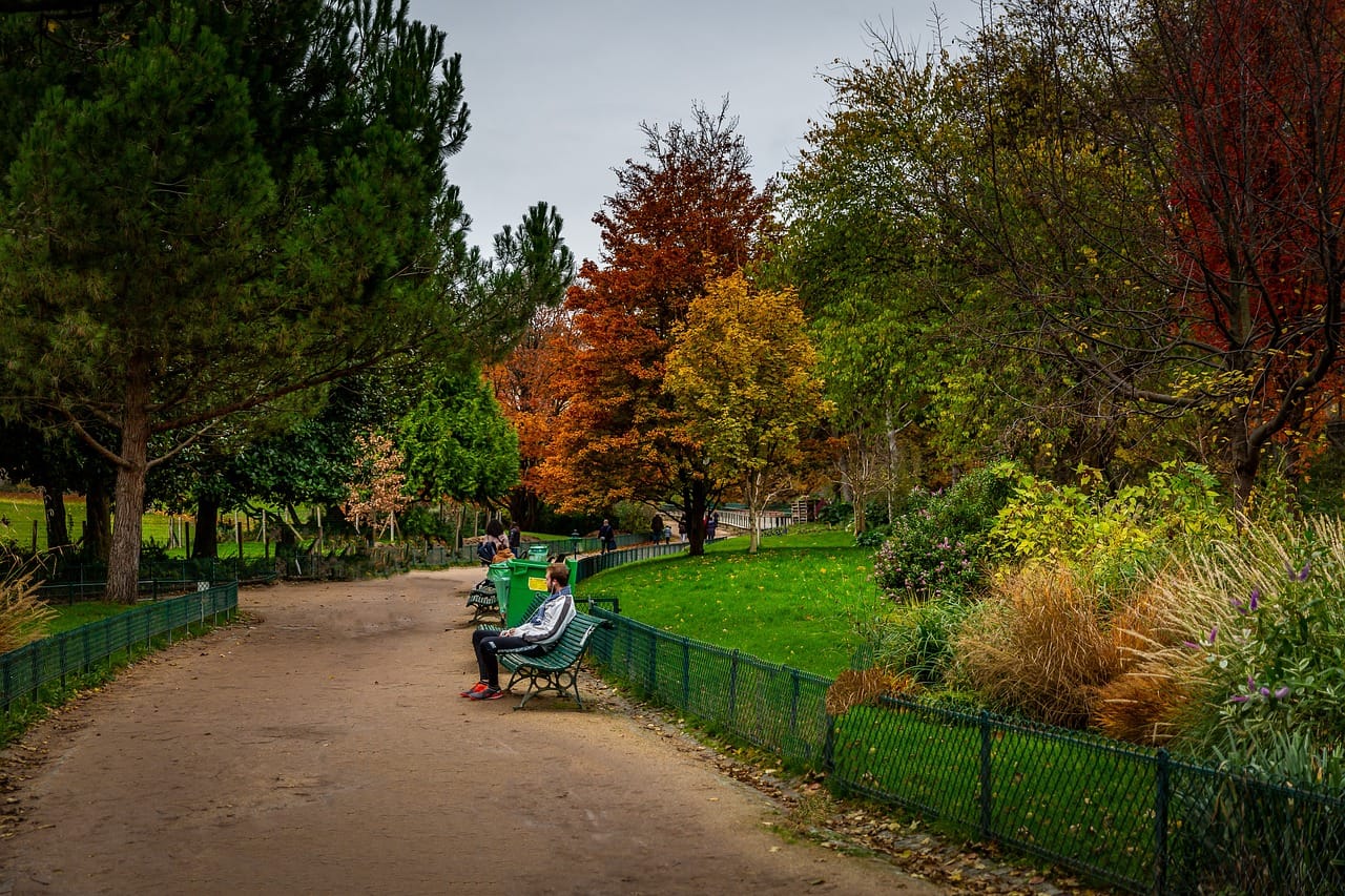 paris-4747423_1280 psychologue positif paris 14 paris 13 en séance walk and talk