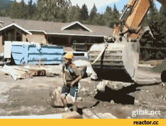 EnragedEasyCurassow-size_restricted