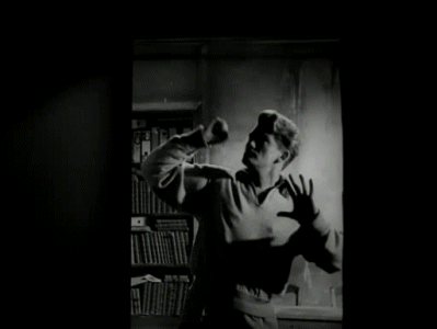 tumblr_2163c01b149b22564190de6f6d46eb87_de11b74b_400 identité