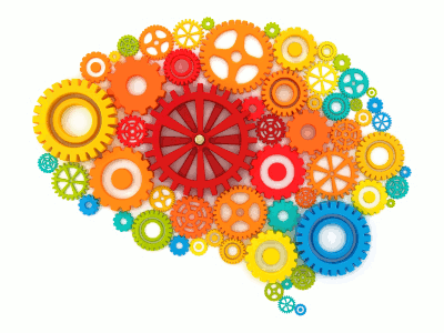 Laurent JAUDON | Transformation | Organisation apprenante